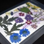 "Multicolour" Bouquet Dried Flowers – 9 Types, Ideal for Jewellery and Decoration