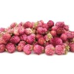 "Dried Flowers" – 0.35oz Decorative Floral Pieces for Epoxy Resin